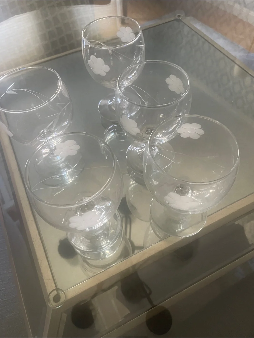 Princess House Etched Floral Goblet Set - Clear with White Flower Accents